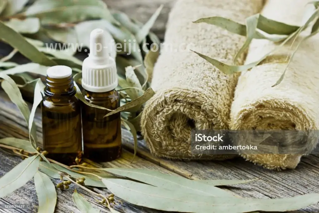 体验